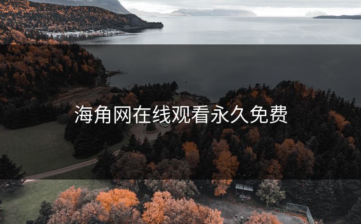 海角网在线观看永久免费
