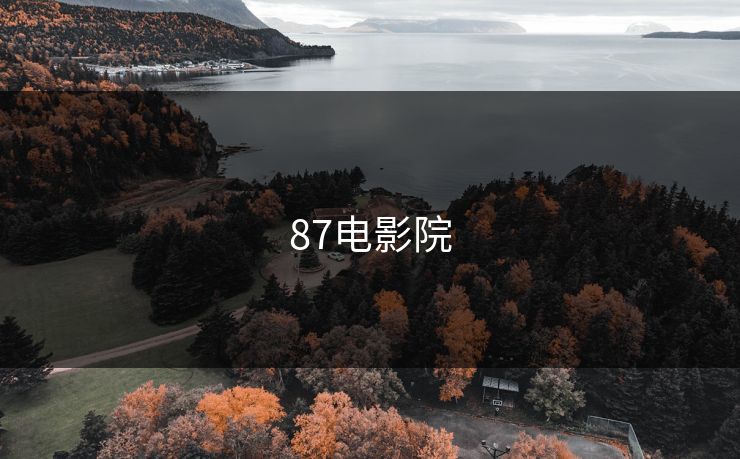 87电影院
