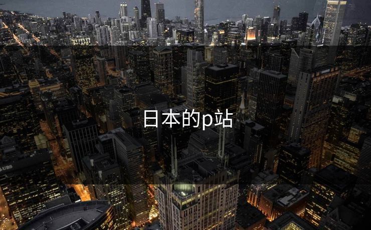 日本的p站