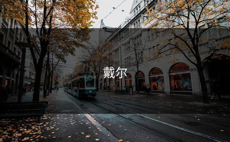 戴尔